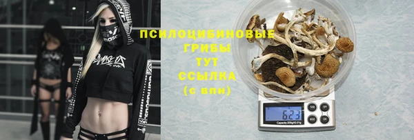 каннабис Дмитровск