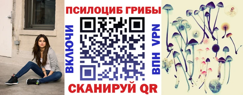 Купить Моздок Галлюциногенные грибы MAGIC MUSHROOMS