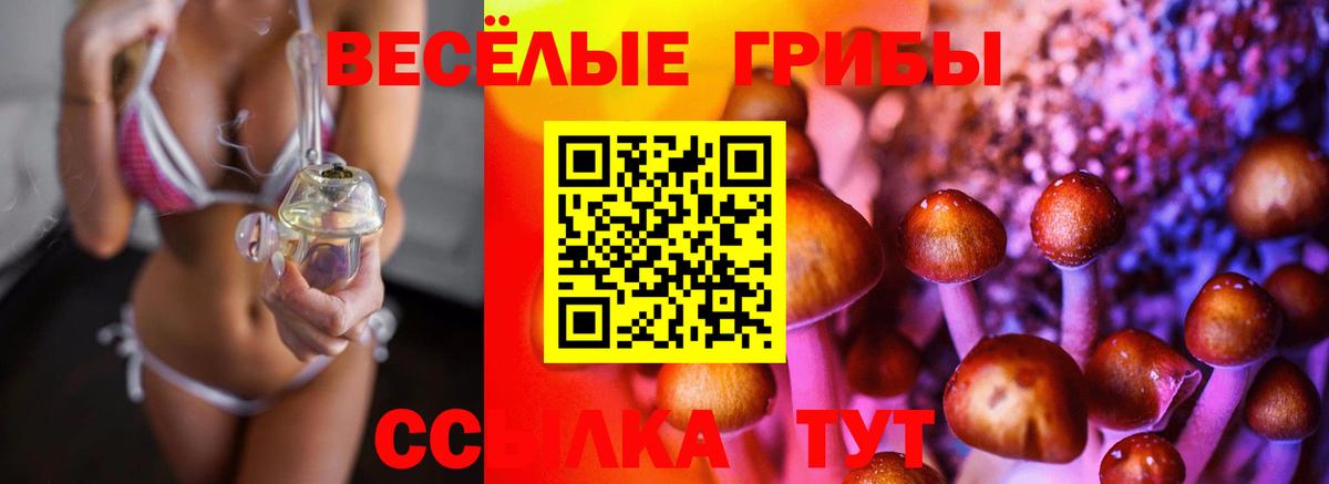 Псилоцибиновые грибы GOLDEN TEACHER Моздок