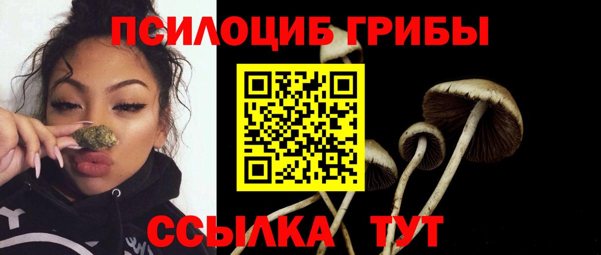 Псилоцибиновые грибы мицелий Моздок