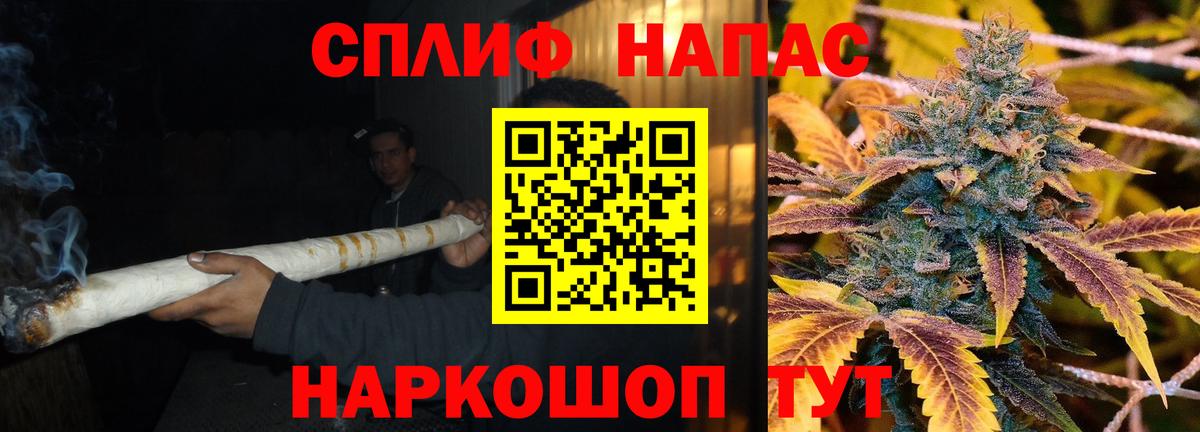 МАРИХУАНА план Моздок